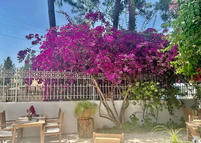 Otel Carikci Marmaris