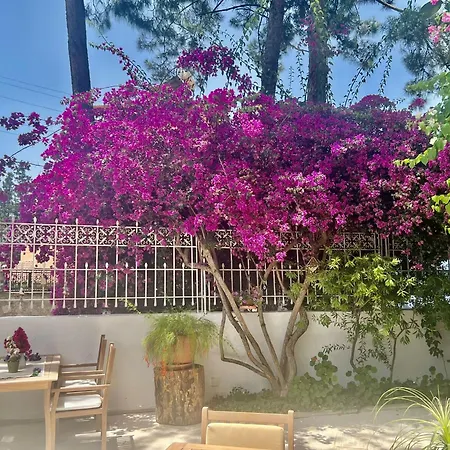 Hotel Carikci Marmaris