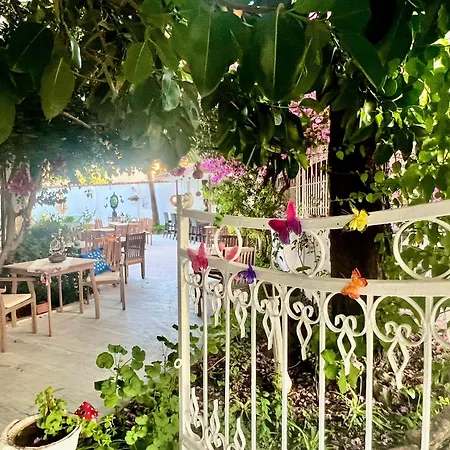 Ξενοδοχείο Carikci