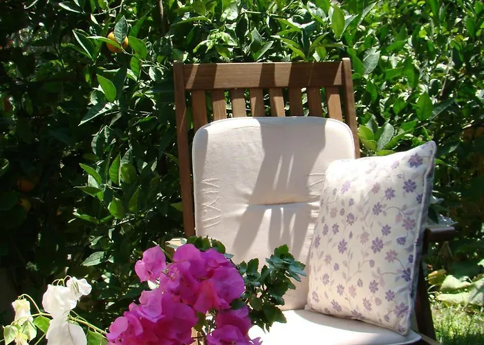 卡瑞克西酒店 2*