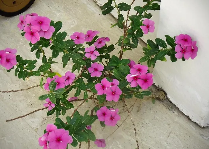 卡瑞克西酒店 2*